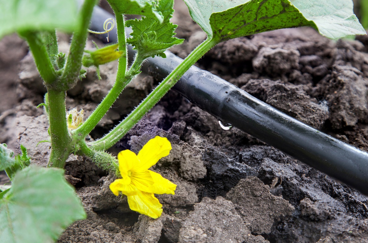 Fertigation Systems